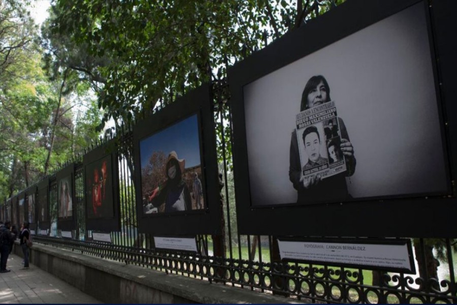 Convocatorias del proyecto Chapultepec, Naturaleza y Cultura siguen recibiendo postulantes