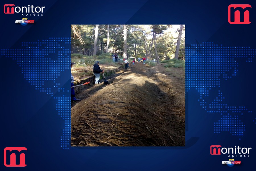 Realiza CGE trabajos de sanidad forestal en Chiautempan @GobTlaxcala